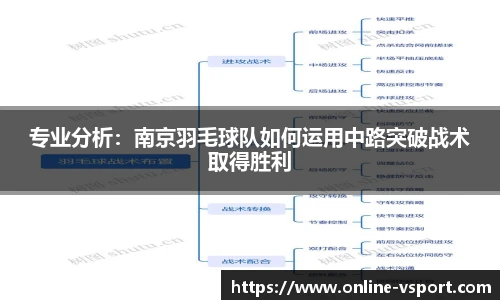 专业分析：南京羽毛球队如何运用中路突破战术取得胜利